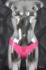 SANSelle dámská tanga 488P SANSelle dámská tanga 488P