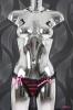 SANSelle dámská tanga 4908P SANSelle dámská tanga 4908P